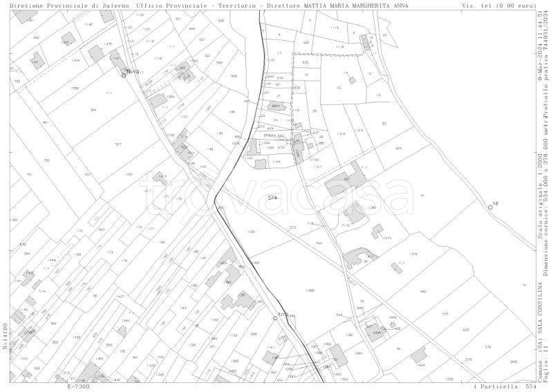 immagine annuncio 5 di 15