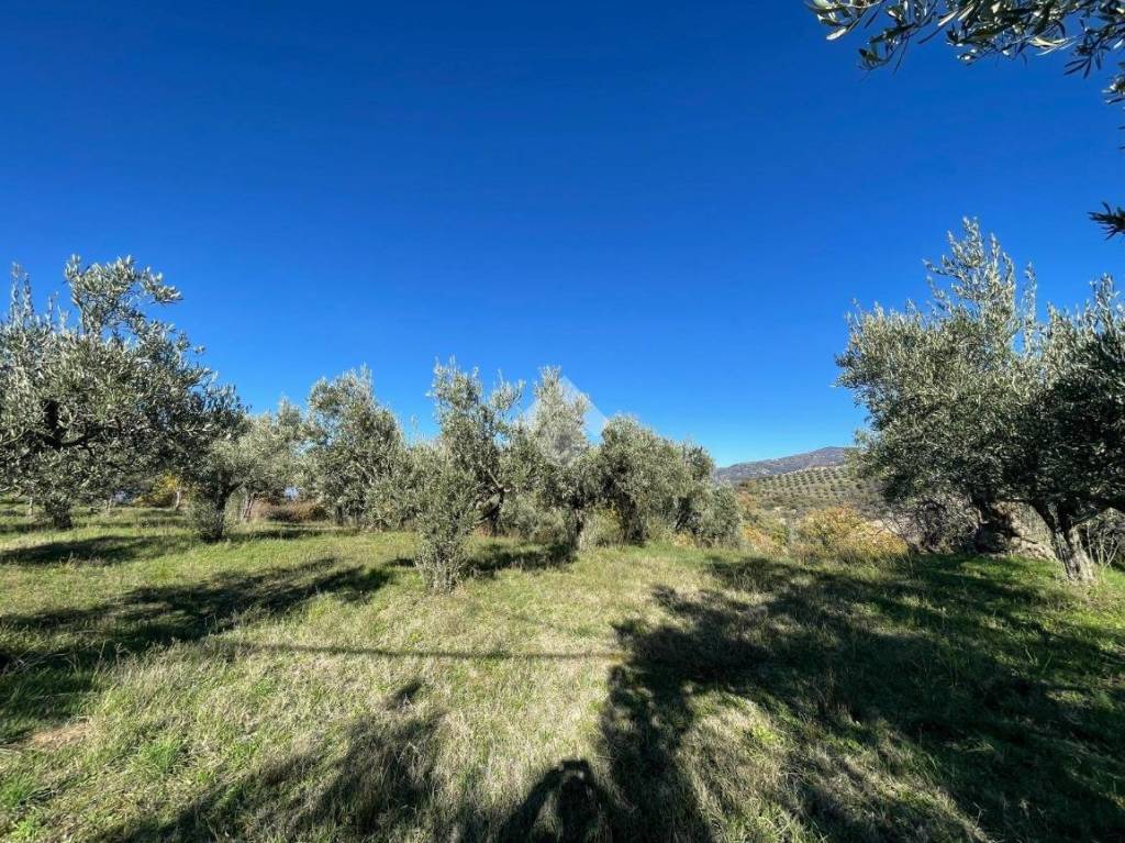 immagine annuncio 4 di 7