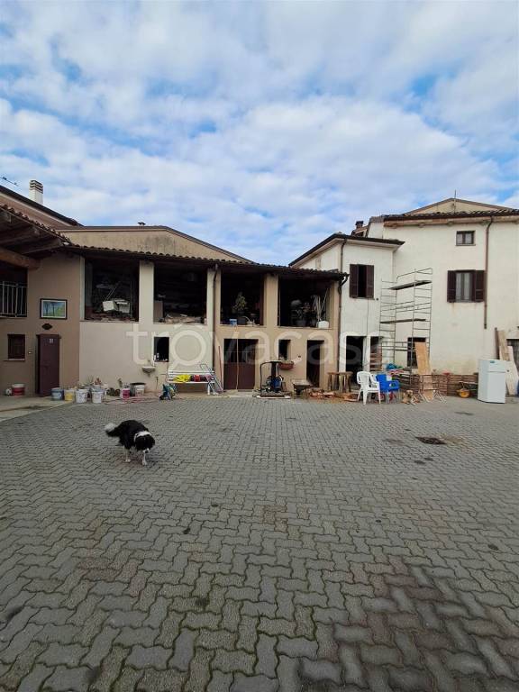 immagine annuncio 6 di 12