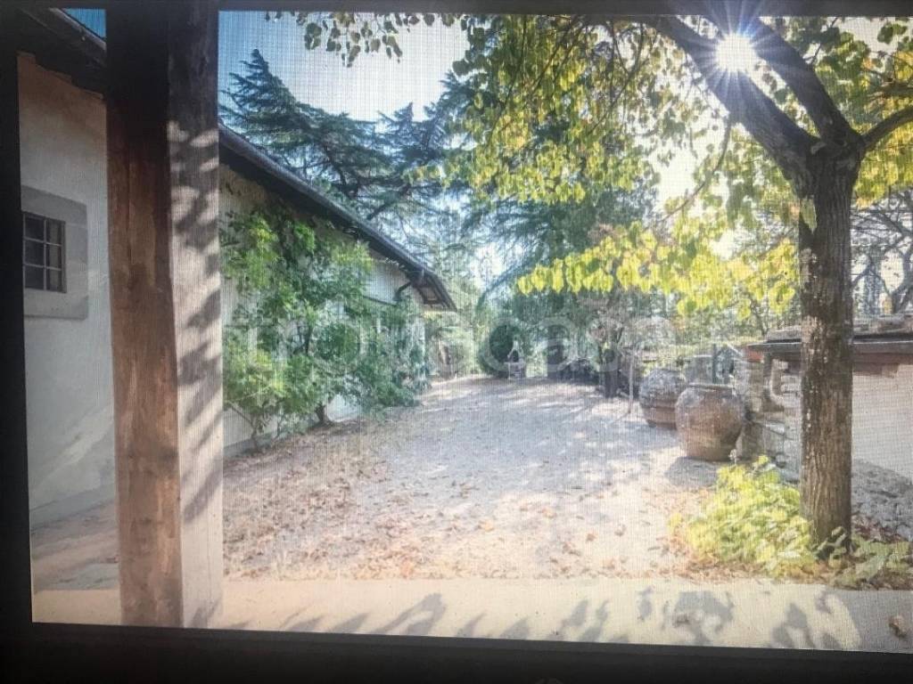 immagine annuncio 12 di 14