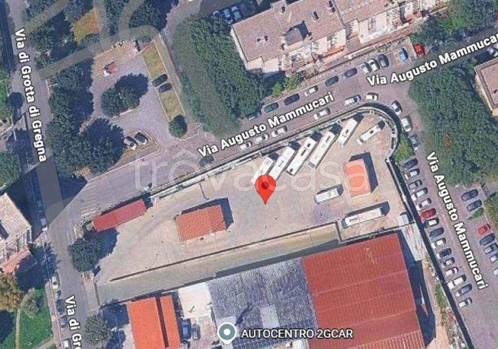 immagine annuncio 5 di 11