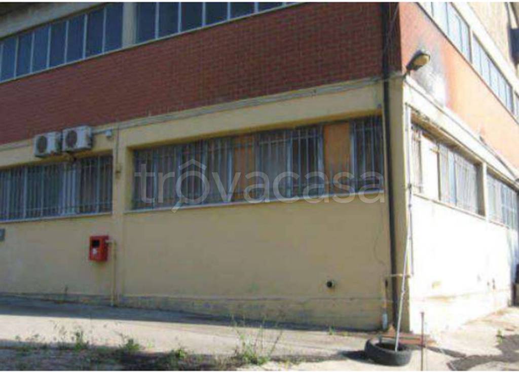 immagine annuncio 1 di 12