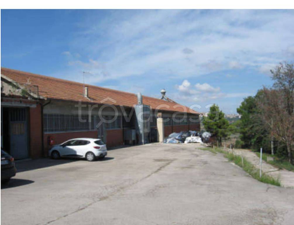 immagine annuncio 3 di 12