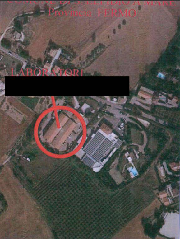 immagine annuncio 11 di 12