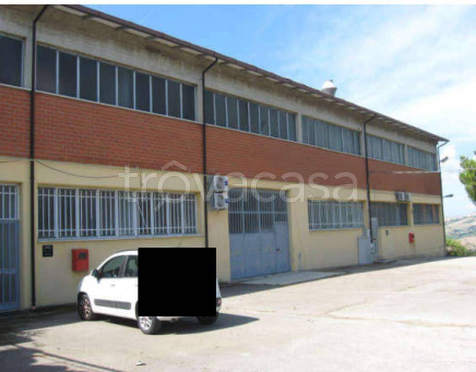 immagine annuncio 5 di 12