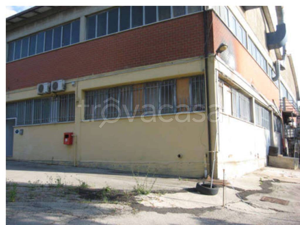 immagine annuncio 6 di 12