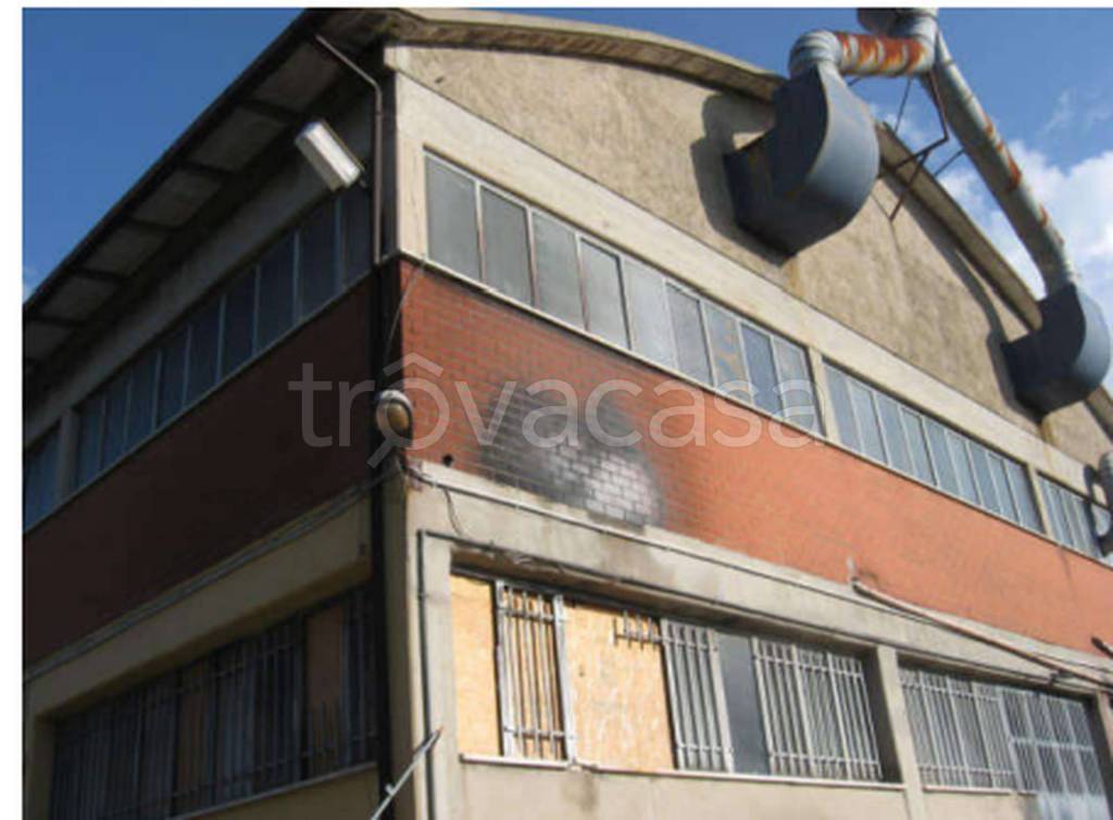 immagine annuncio 9 di 12