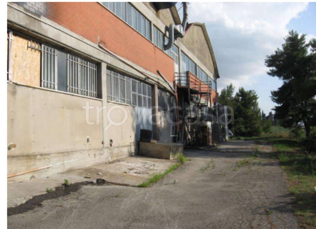 immagine annuncio 10 di 12