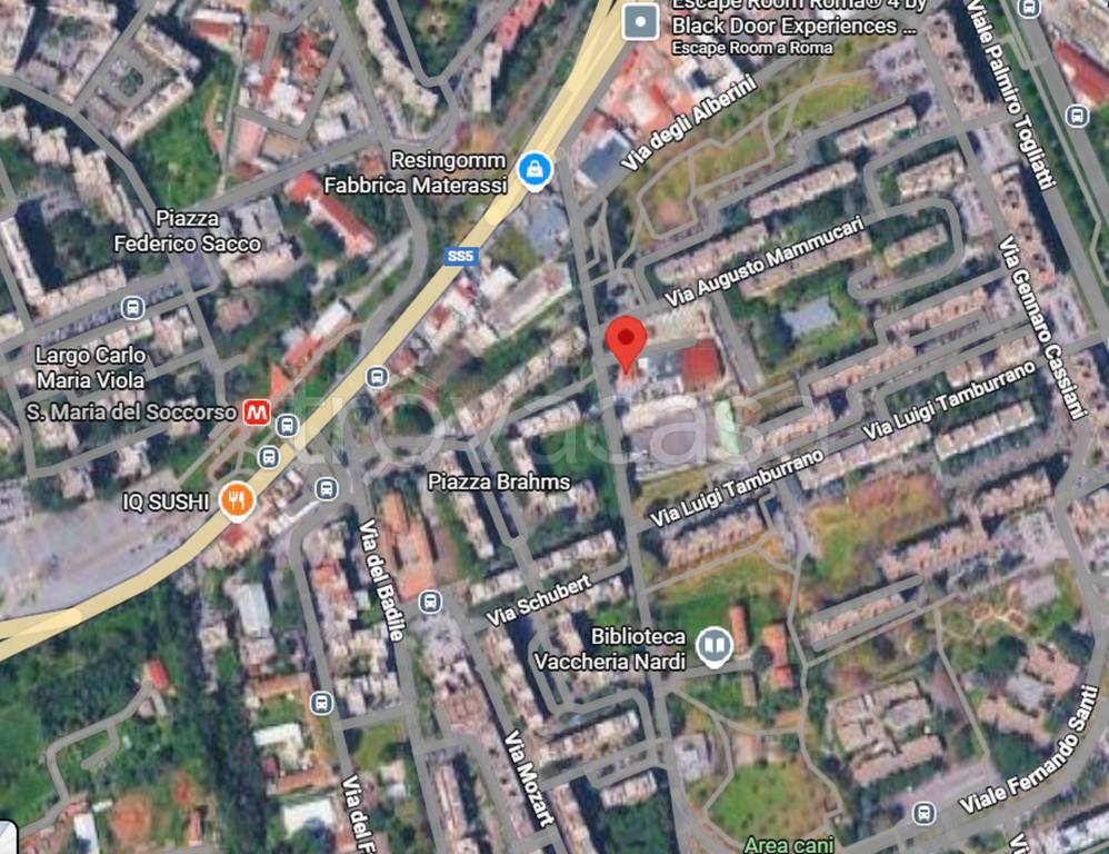 immagine annuncio 5 di 11