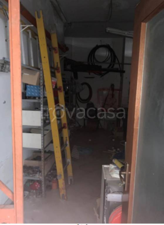 immagine annuncio 3 di 11