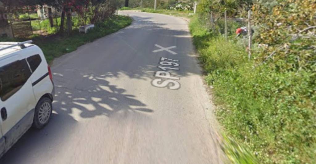 immagine annuncio 1 di 11