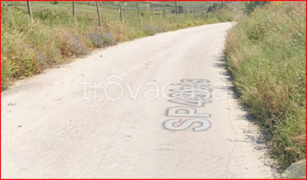 immagine annuncio 9 di 12