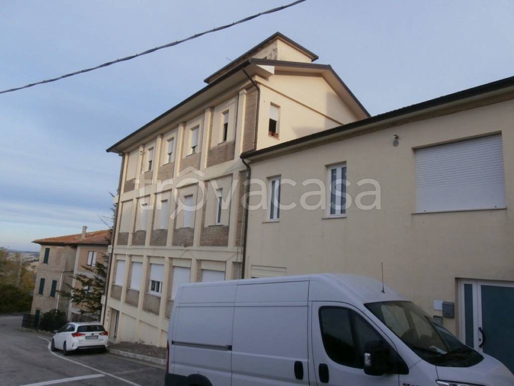 immagine annuncio 3 di 12