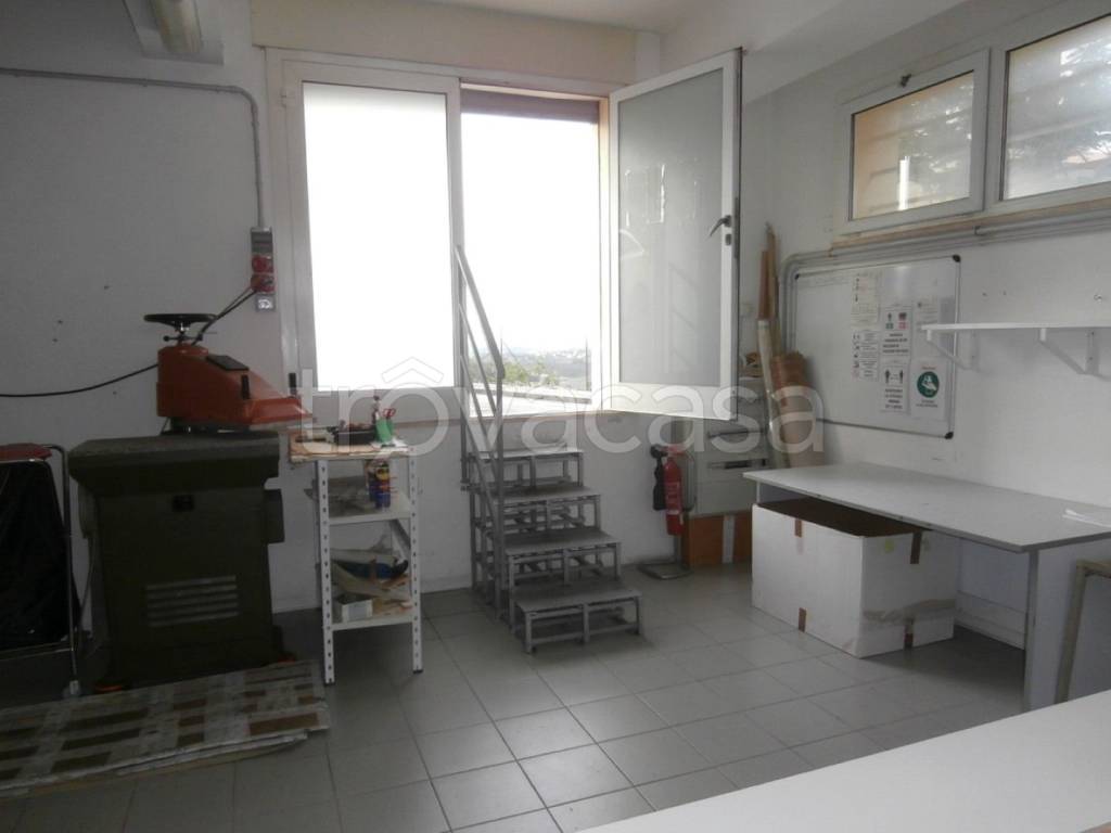 immagine annuncio 7 di 12