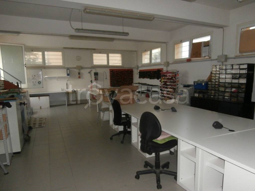 immagine annuncio 9 di 12