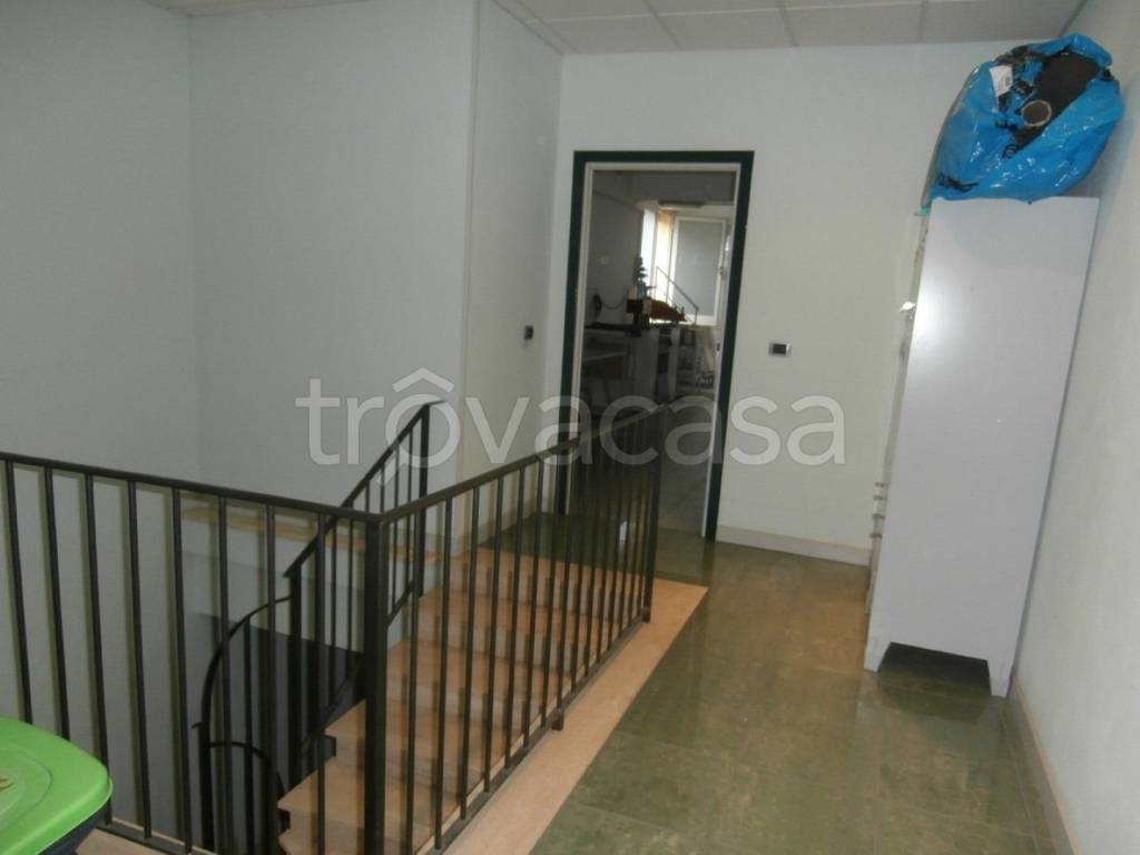 immagine annuncio 5 di 12