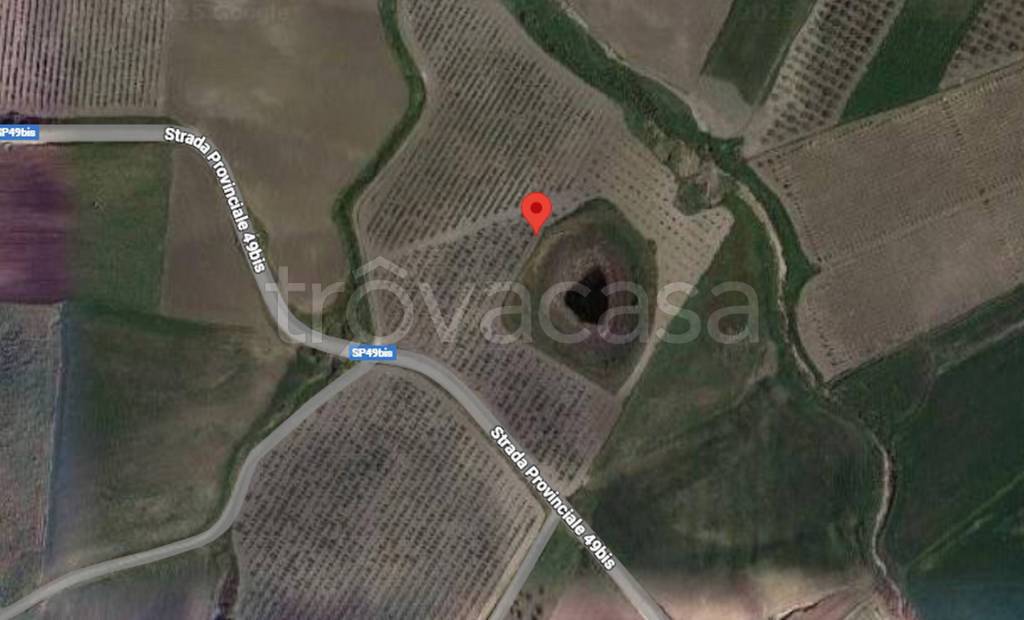 immagine annuncio 5 di 11