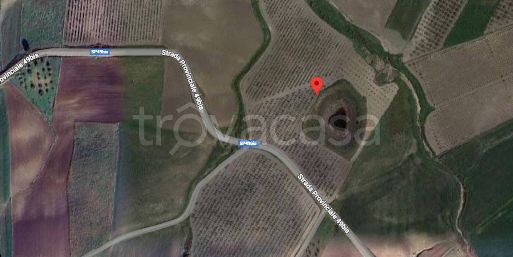 immagine annuncio 7 di 11