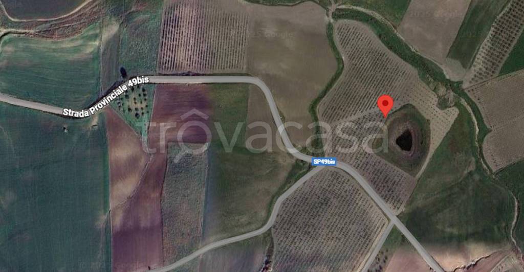 immagine annuncio 10 di 11