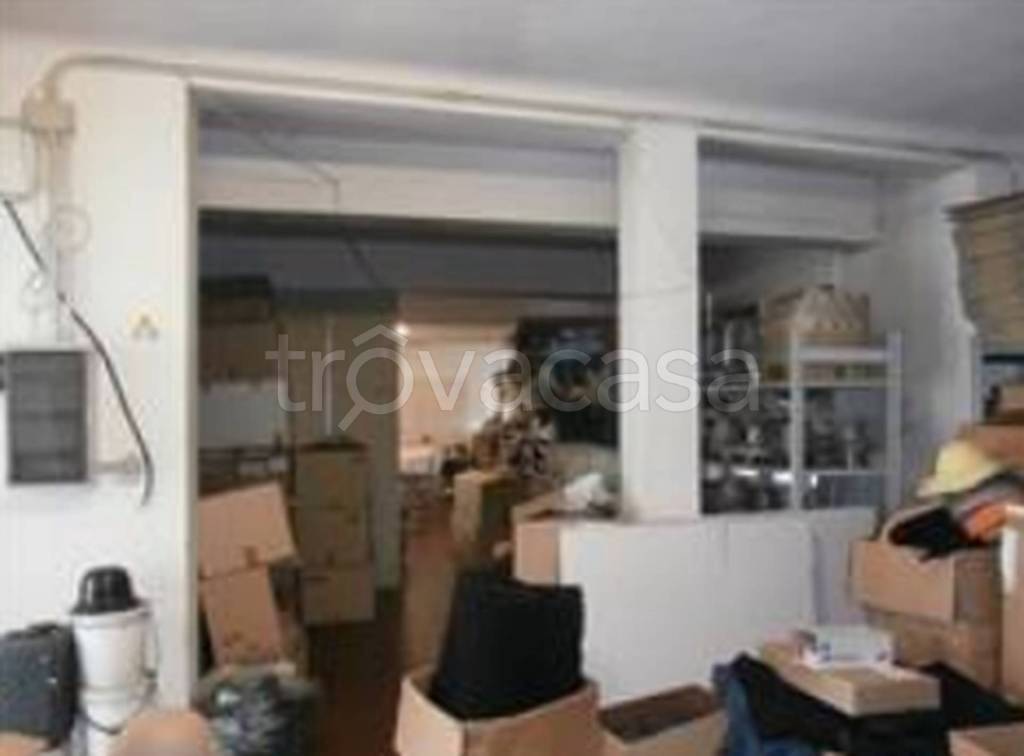 immagine annuncio 9 di 11