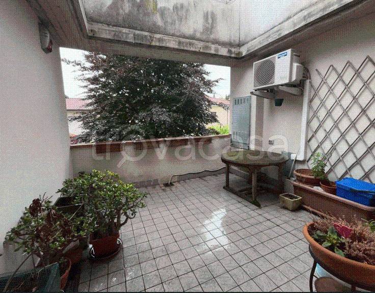 immagine annuncio 9 di 11