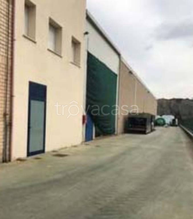 immagine annuncio 2 di 11