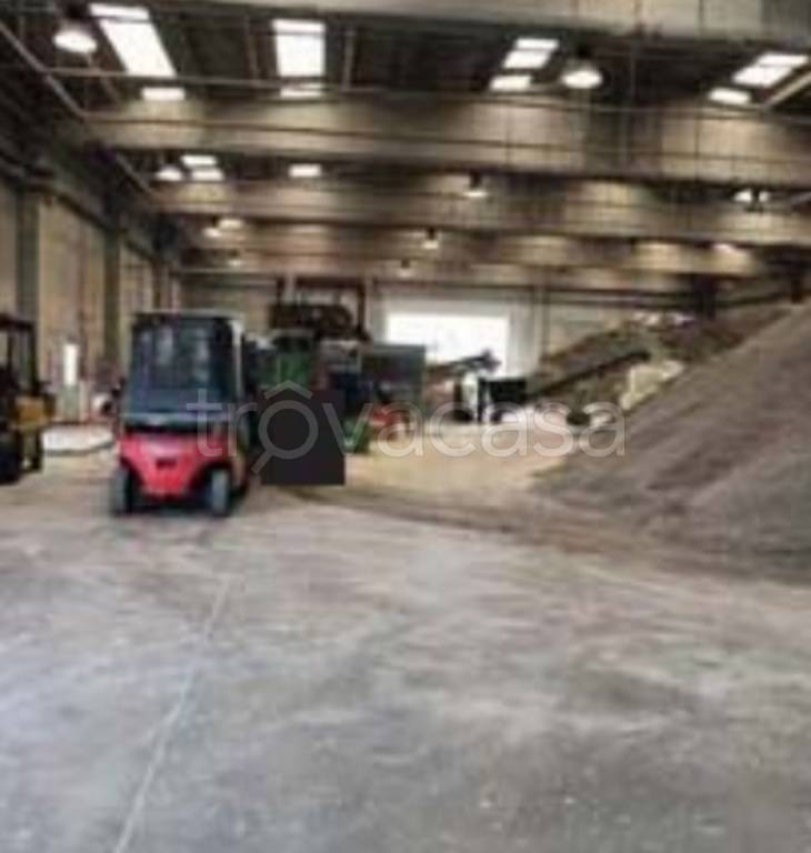 immagine annuncio 3 di 11