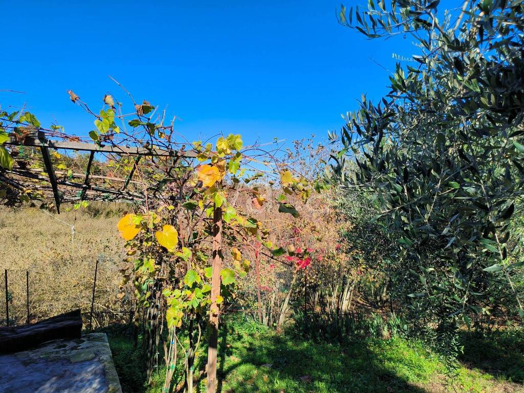 immagine annuncio 2 di 11