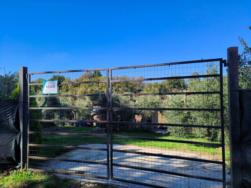 immagine annuncio 9 di 11