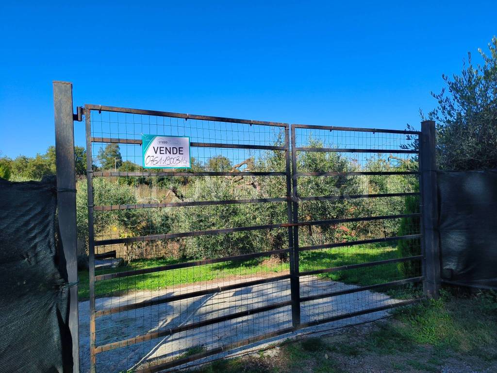 immagine annuncio 10 di 11