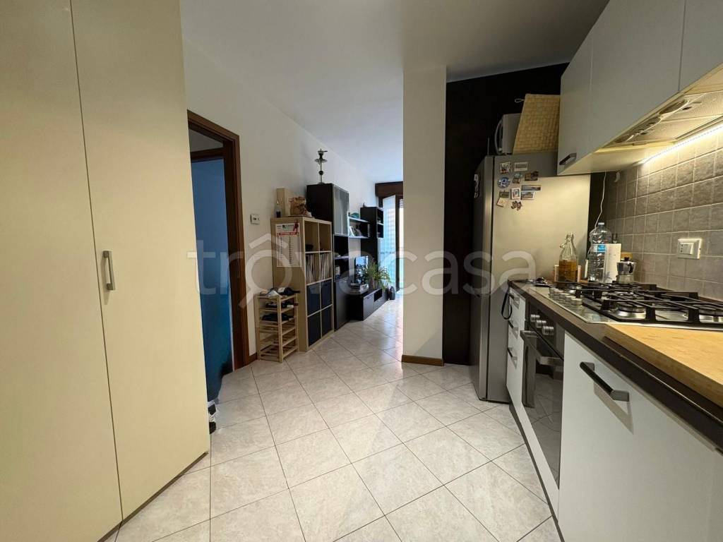 immagine annuncio 2 di 14