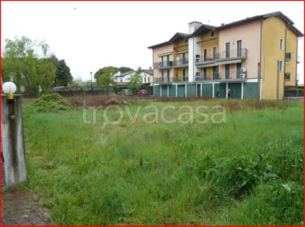 immagine annuncio 2 di 12