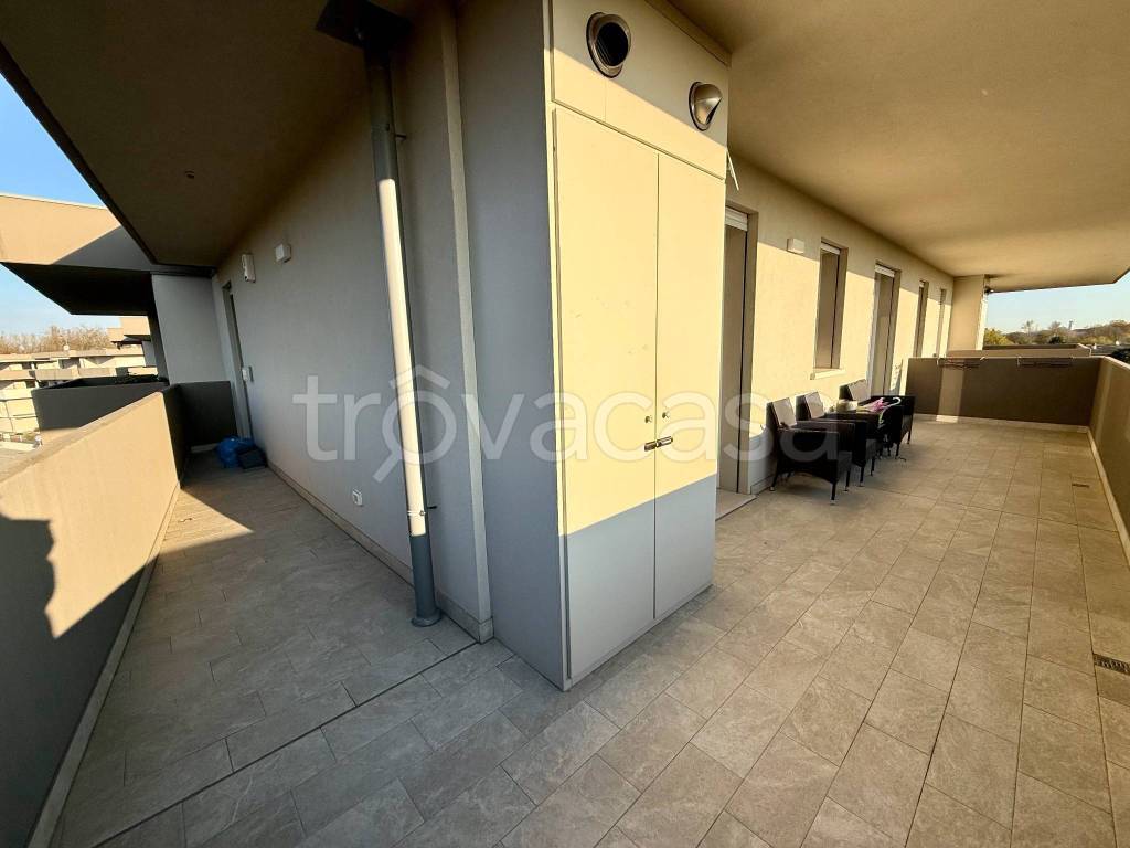 immagine annuncio 11 di 14