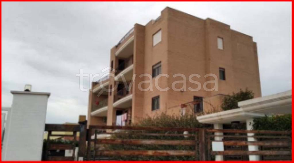 immagine annuncio 3 di 11