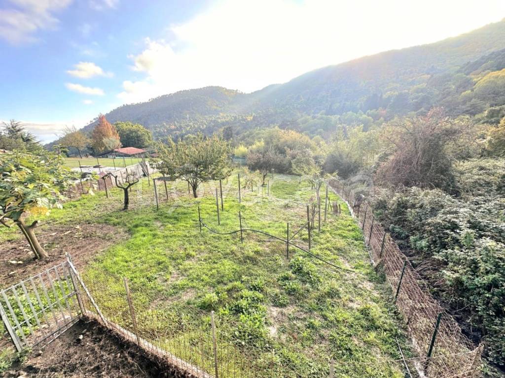 immagine annuncio 12 di 13