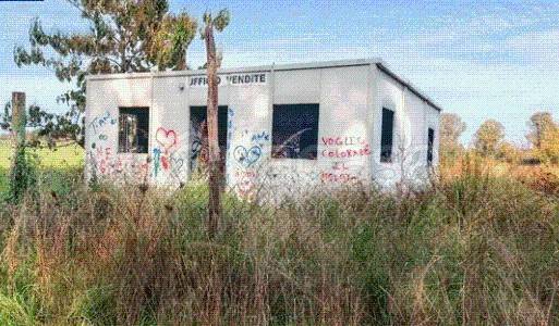 immagine annuncio 6 di 12