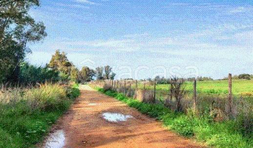 immagine annuncio 7 di 12