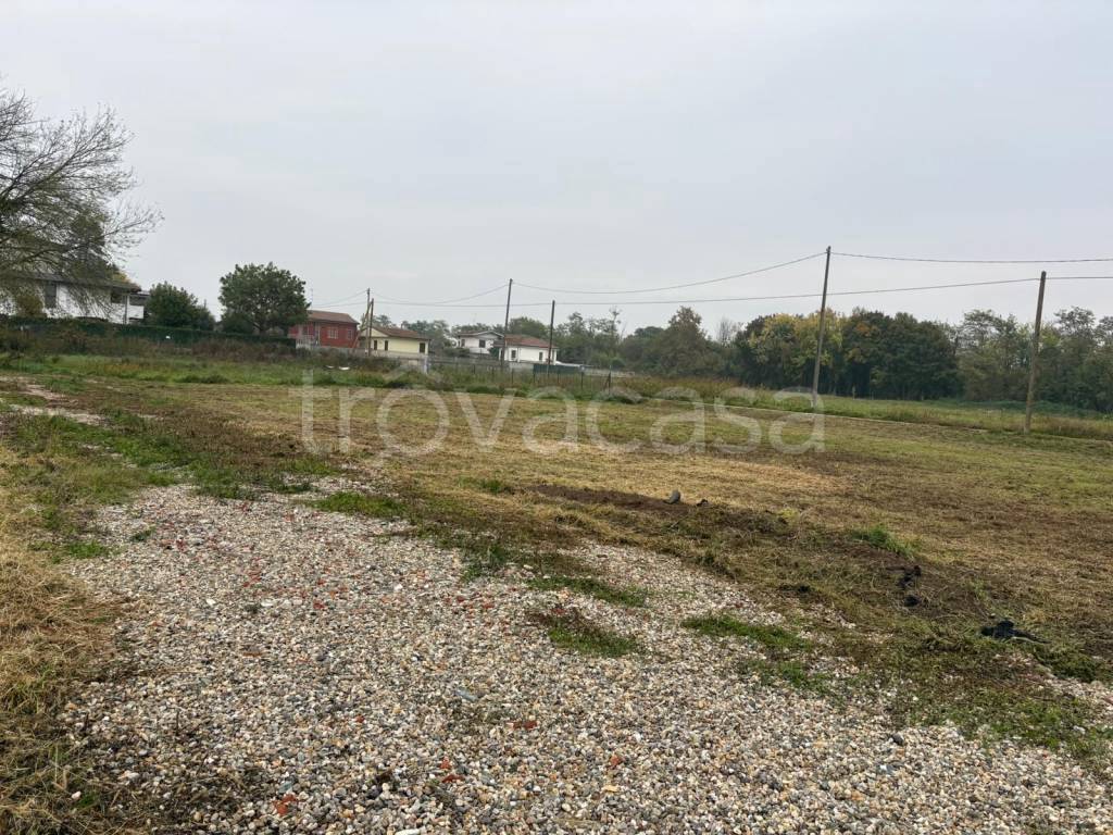 immagine annuncio 3 di 7