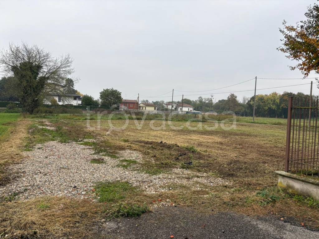 immagine annuncio 4 di 7