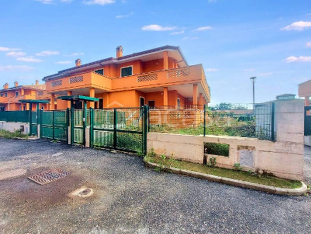 immagine annuncio 3 di 11