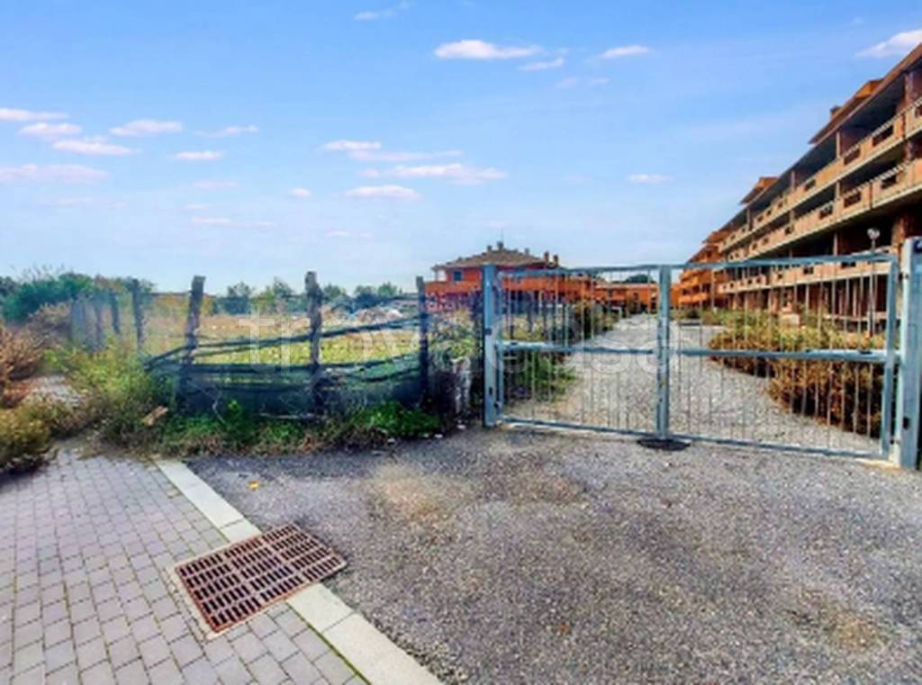 immagine annuncio 5 di 11