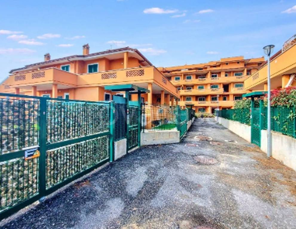 immagine annuncio 6 di 11