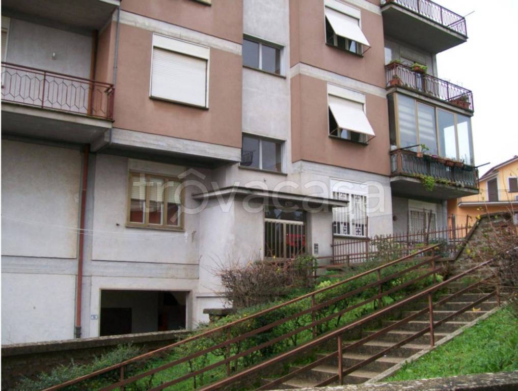 immagine annuncio 11 di 12