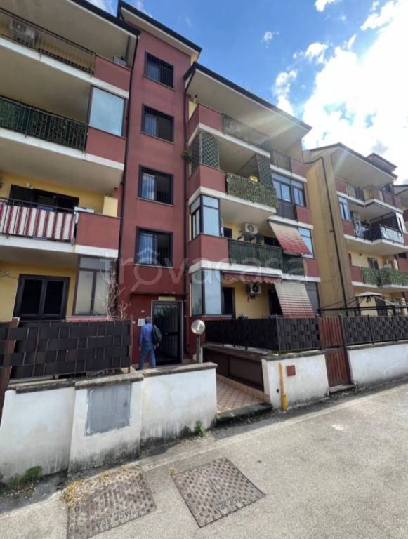 immagine annuncio 10 di 11