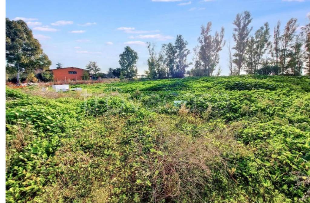 immagine annuncio 4 di 9