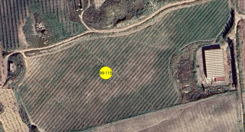 immagine annuncio 10 di 12