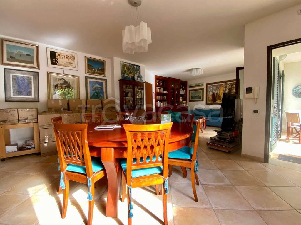 immagine annuncio 12 di 15