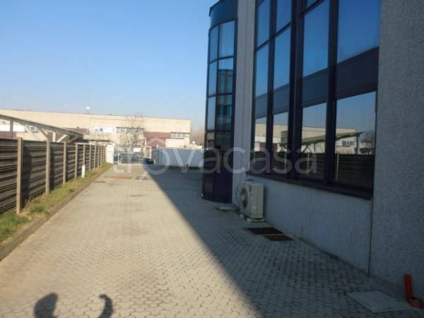 immagine annuncio 5 di 7