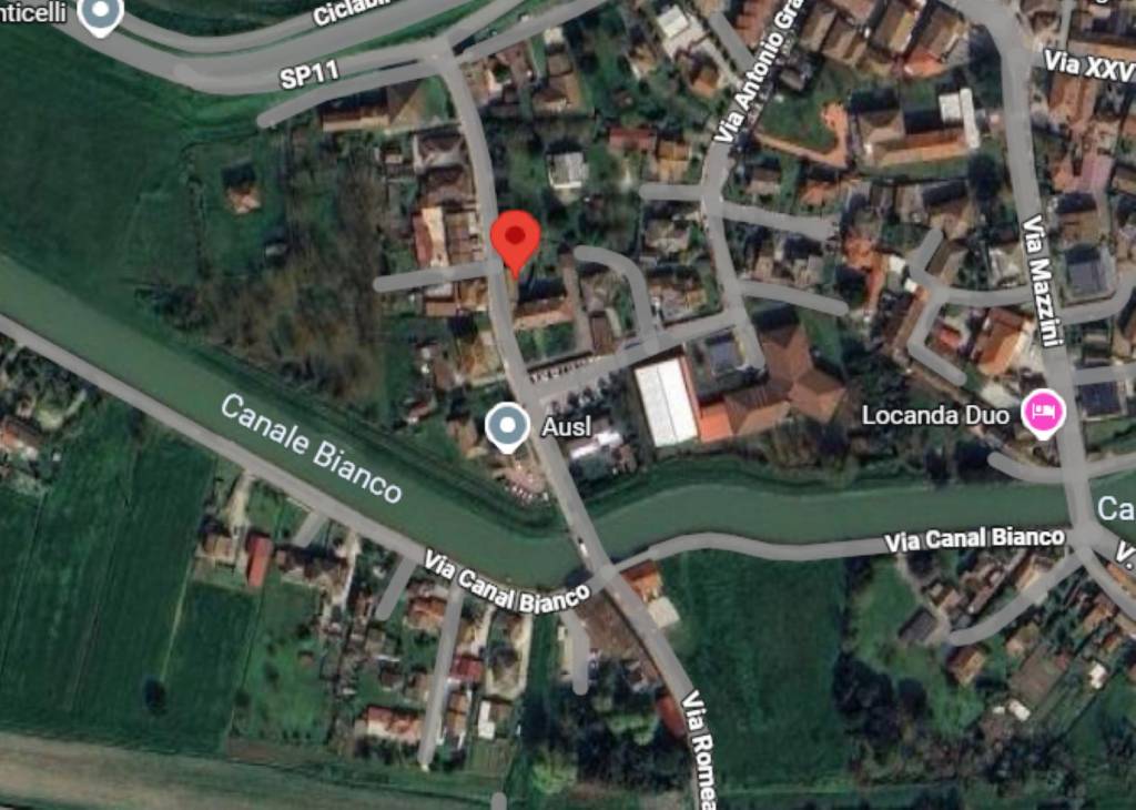 immagine annuncio 1 di 14