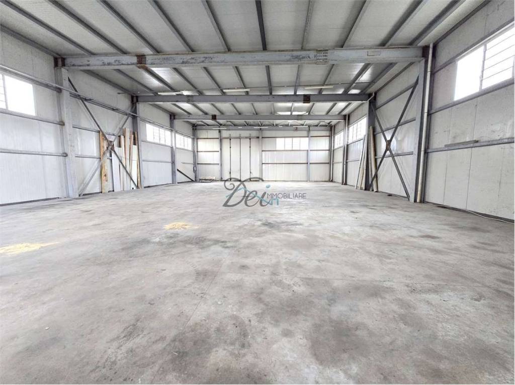 immagine annuncio 3 di 11